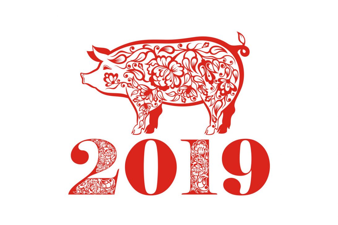 Как называется 2019 год. 2019 год. 2019 год картинка. 2019 год чего. the year of the pig.