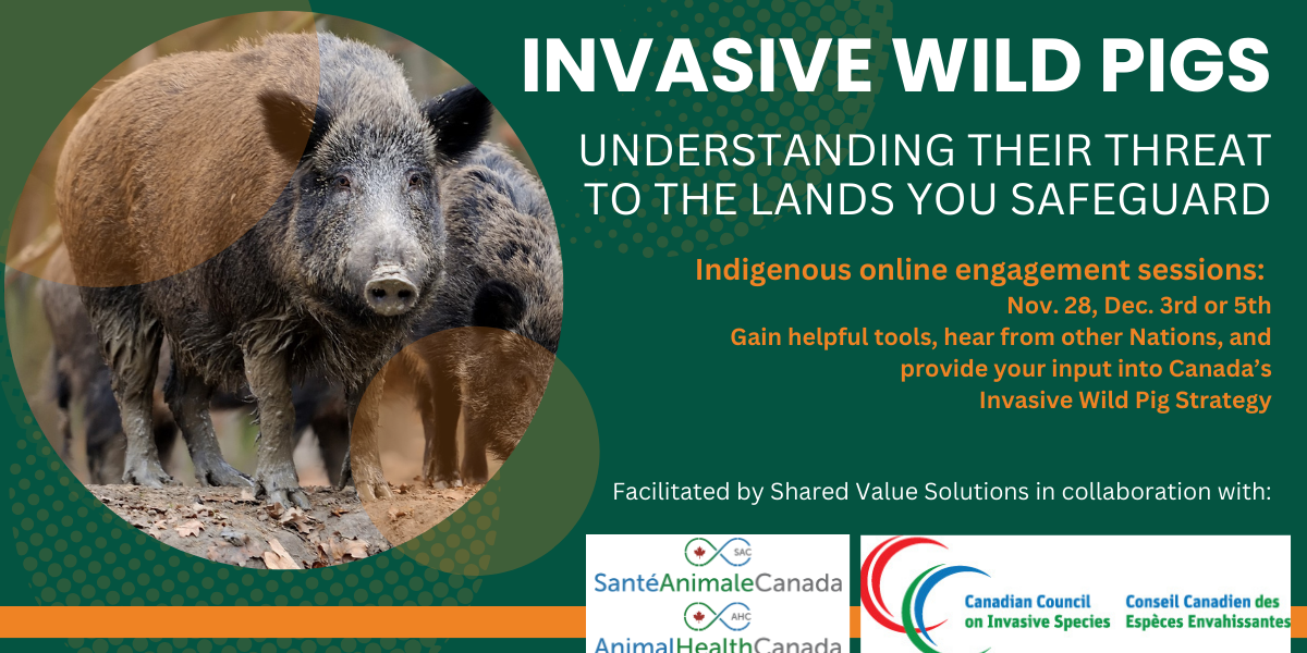 ABpork-Indigenous-Engagement