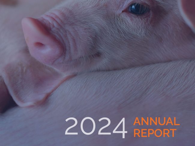 AB-Pork-Annual-Report-2024