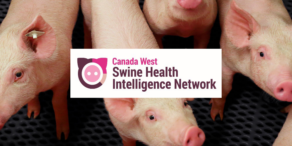 CWSHIN_FI Canadian Swine Health Intelligence Network