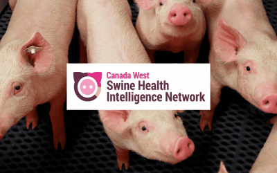 CWSHIN Swine Health Report Q4