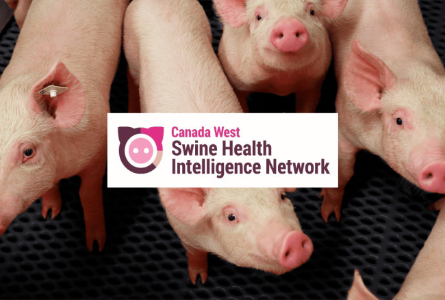 CWSHIN_FI Canadian Swine Health Intelligence Network
