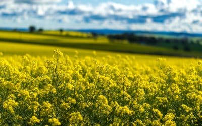 Upgraded AgriStability Supports