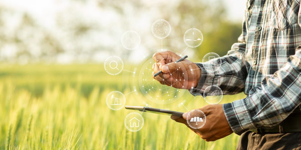 On-Farm Efficiency Program_FI On-Farm Efficiency Program