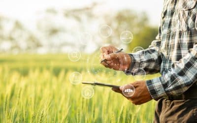 On-Farm Efficiency Program