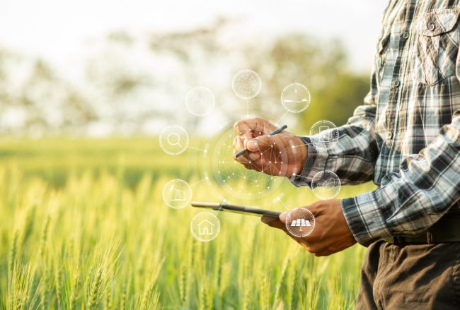 On-Farm Efficiency Program_FI On-Farm Efficiency Program