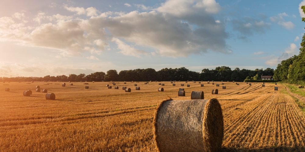 Featured Image – Value Added Program