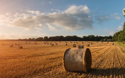 SCAP Value-Added Programs