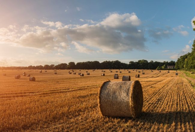 Featured Image – Value Added Program