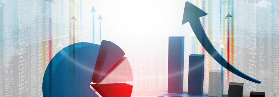 Feed Cost Commentary