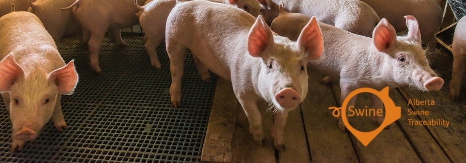 Traceability Amendments