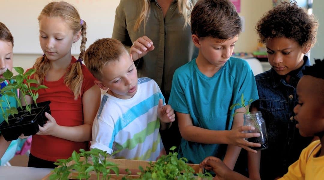 AgForLife Education Programs