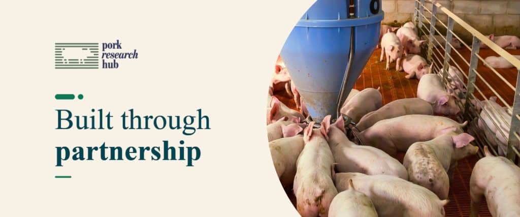 Pork Research Hub Banner