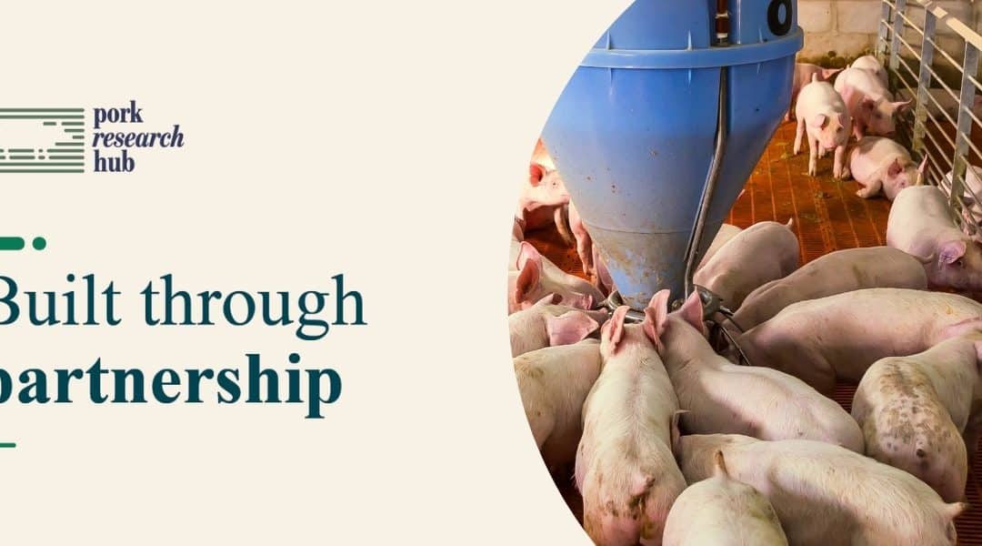 Pork Research Hub